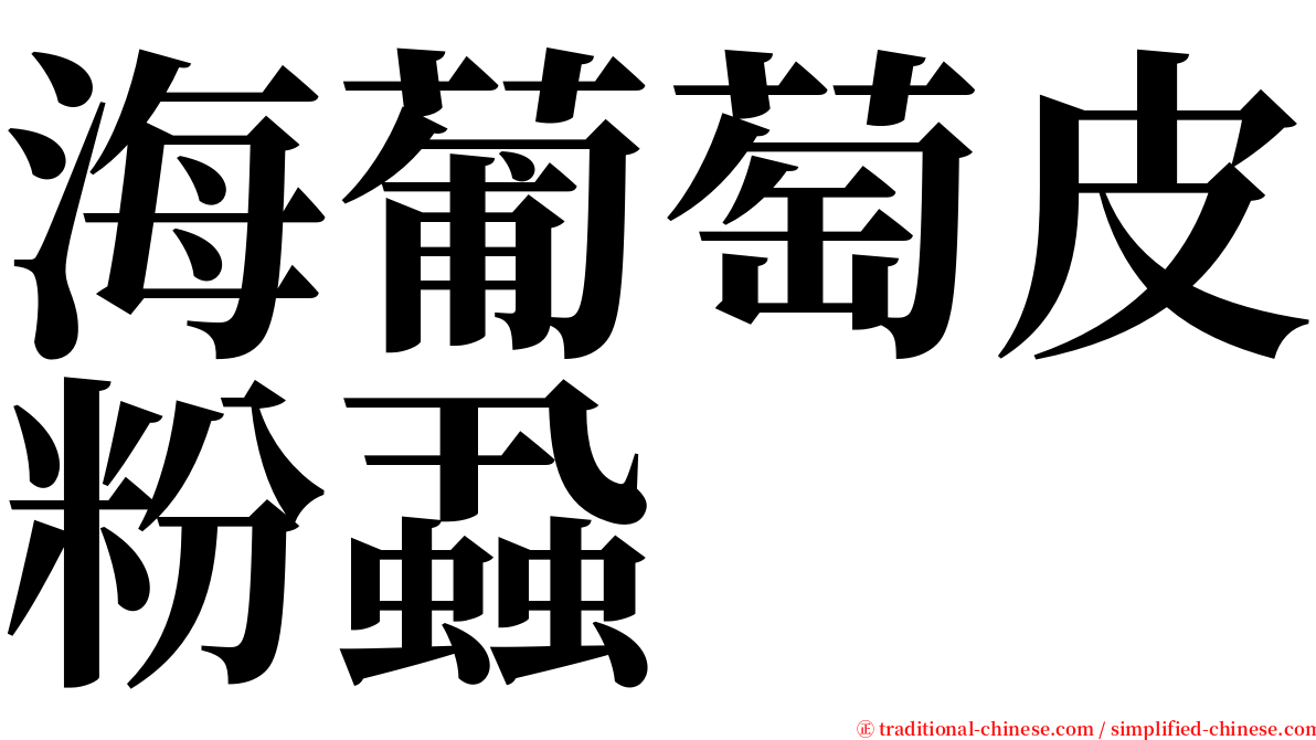 海葡萄皮粉蝨 serif font