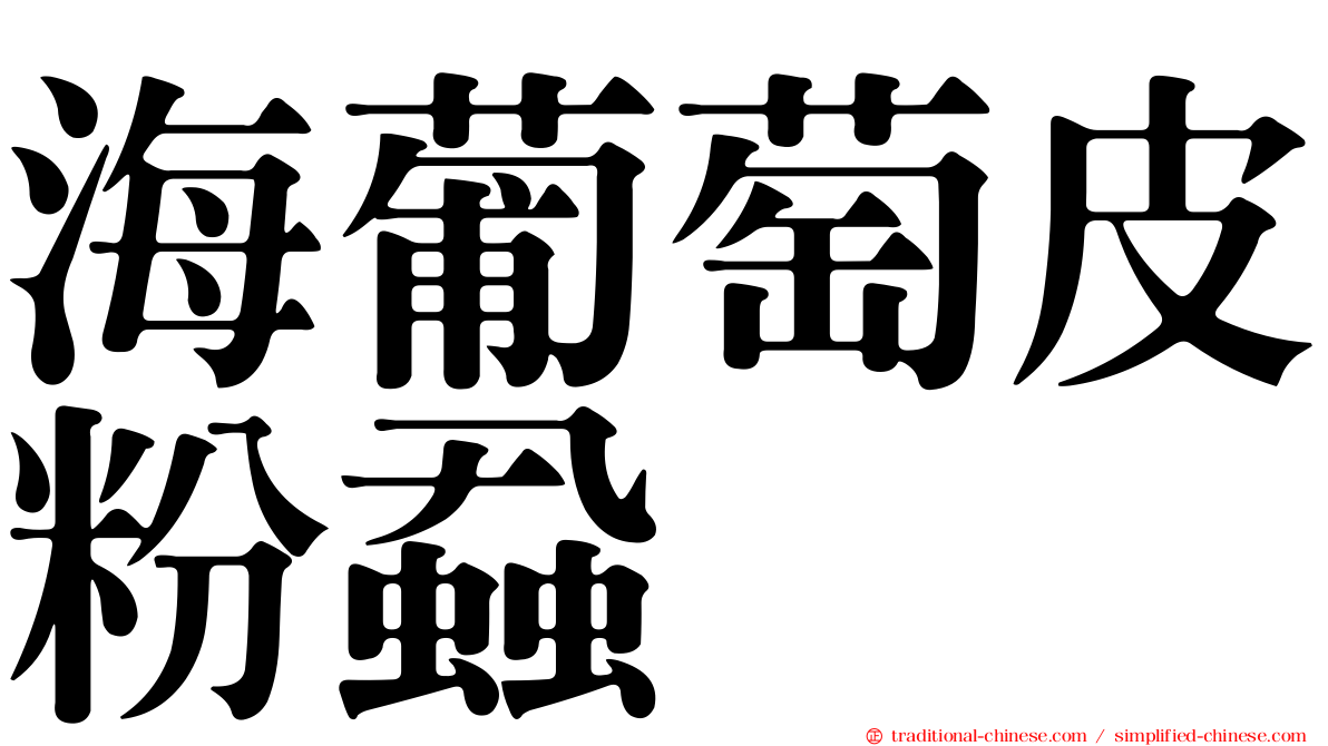 海葡萄皮粉蝨