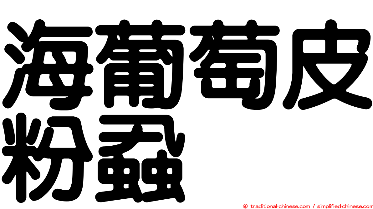海葡萄皮粉蝨