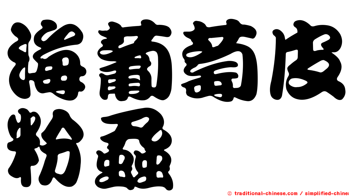 海葡萄皮粉蝨