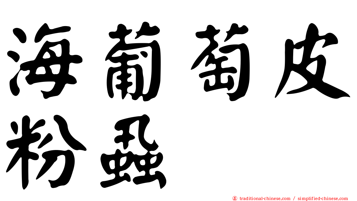 海葡萄皮粉蝨