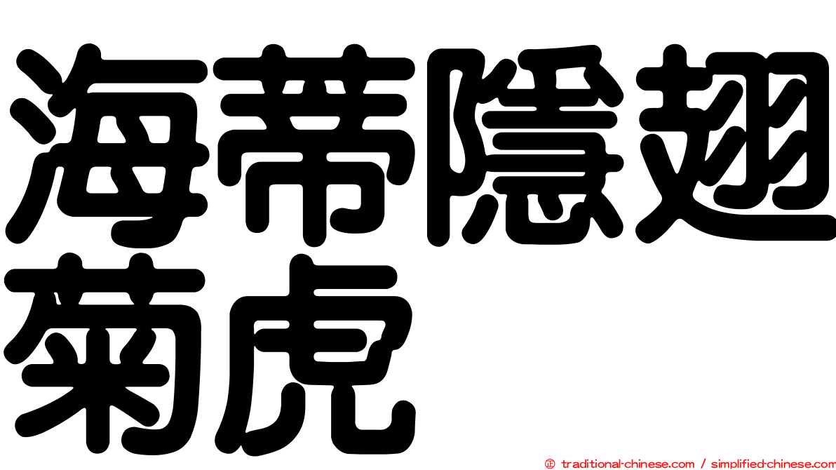 海蒂隱翅菊虎