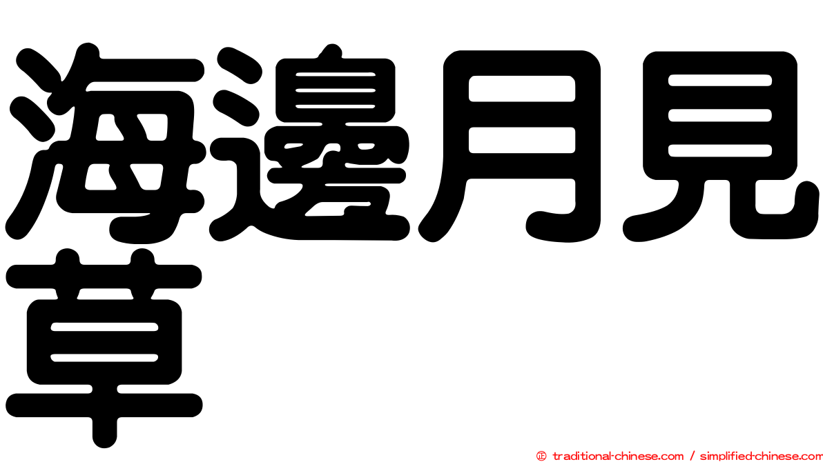 海邊月見草
