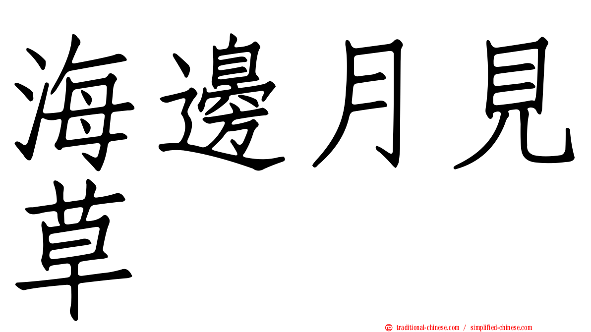海邊月見草