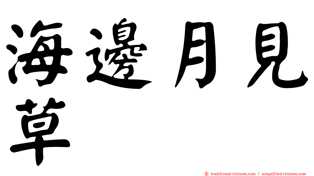 海邊月見草