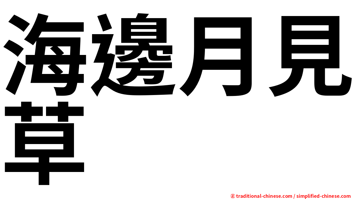 海邊月見草