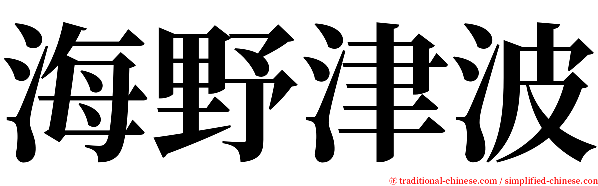海野津波 serif font