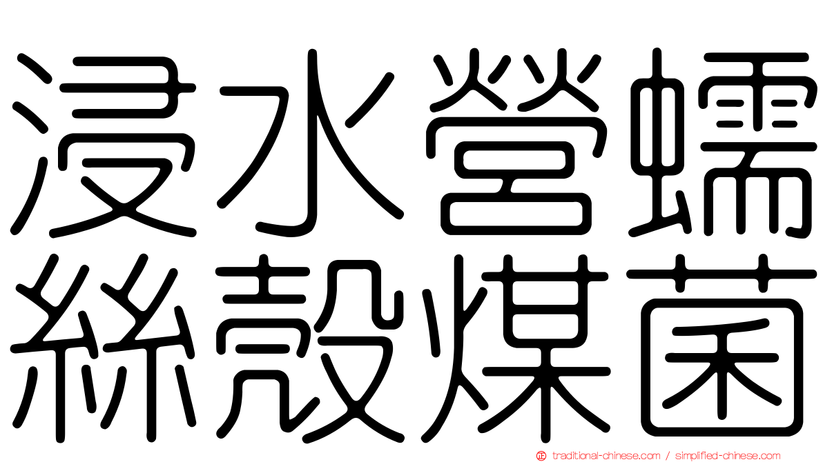 浸水營蠕絲殼煤菌