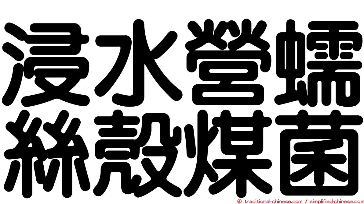 浸水營蠕絲殼煤菌