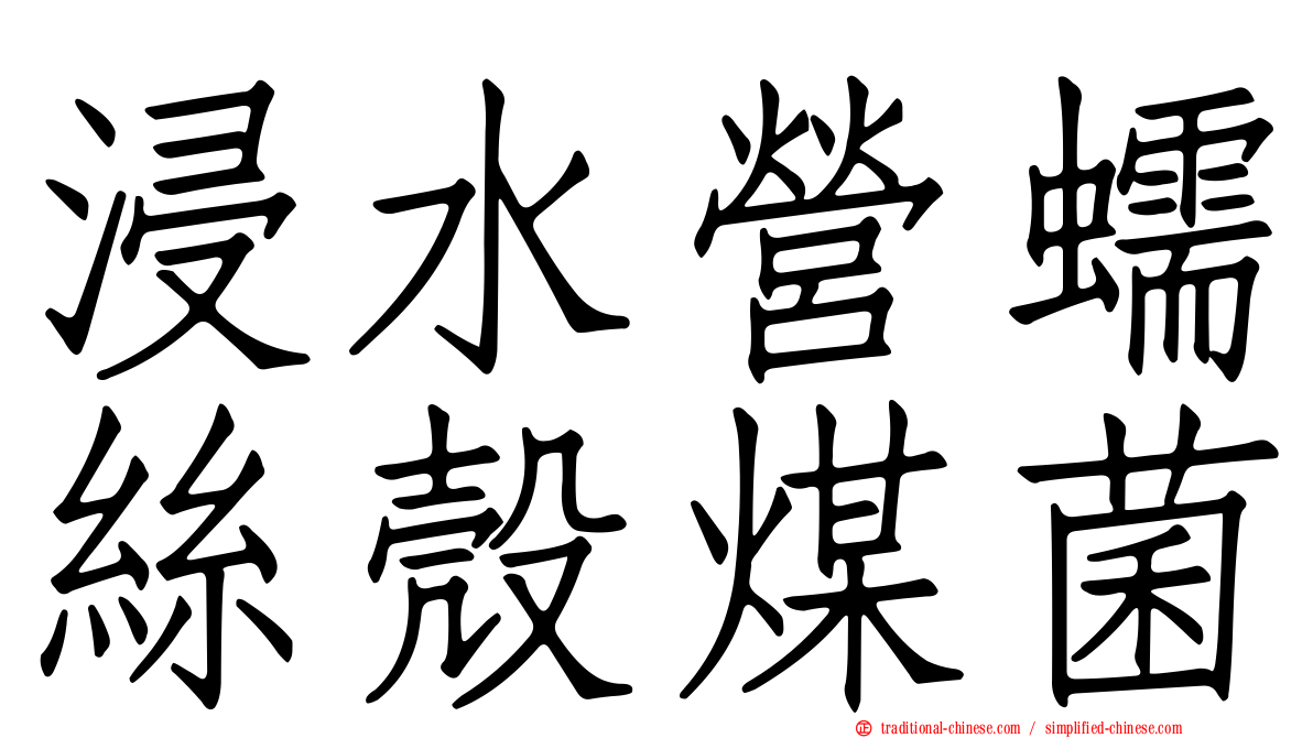 浸水營蠕絲殼煤菌