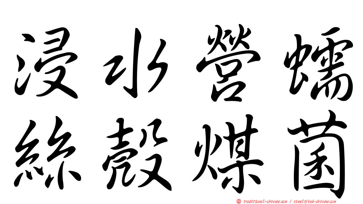 浸水營蠕絲殼煤菌