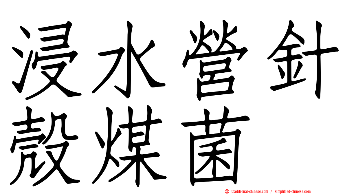 浸水營針殼煤菌