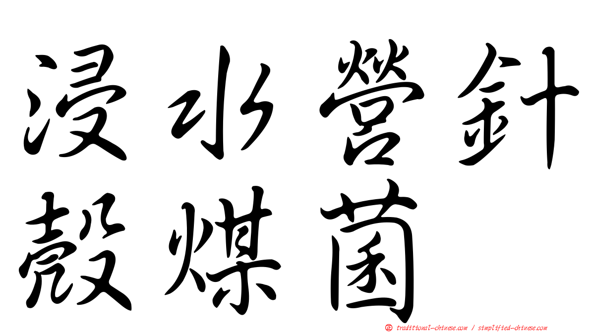 浸水營針殼煤菌