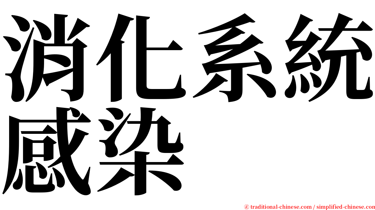 消化系統感染 serif font