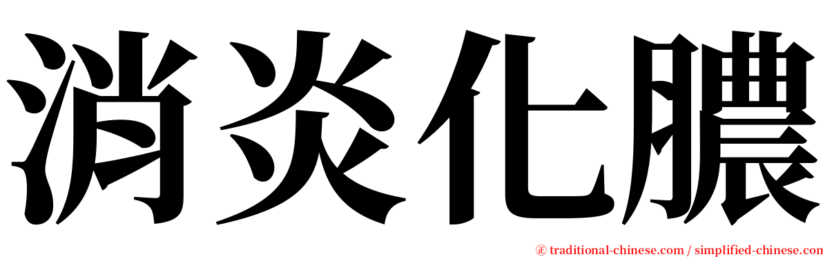 消炎化膿 serif font
