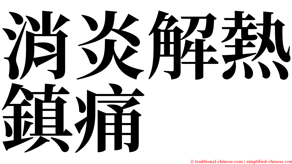 消炎解熱鎮痛 serif font