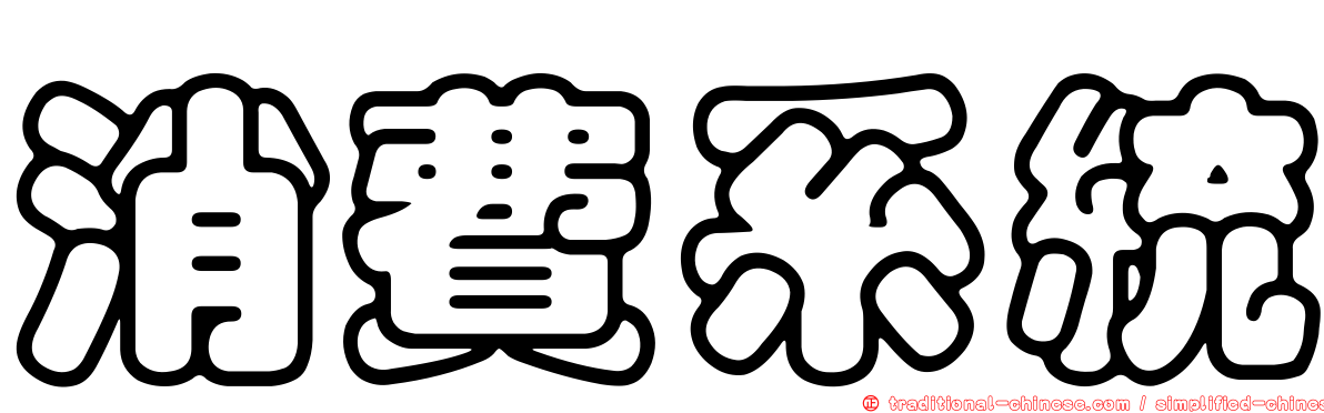消費系統