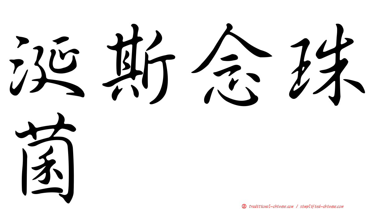 涎斯念珠菌