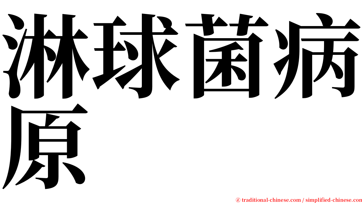 淋球菌病原 serif font