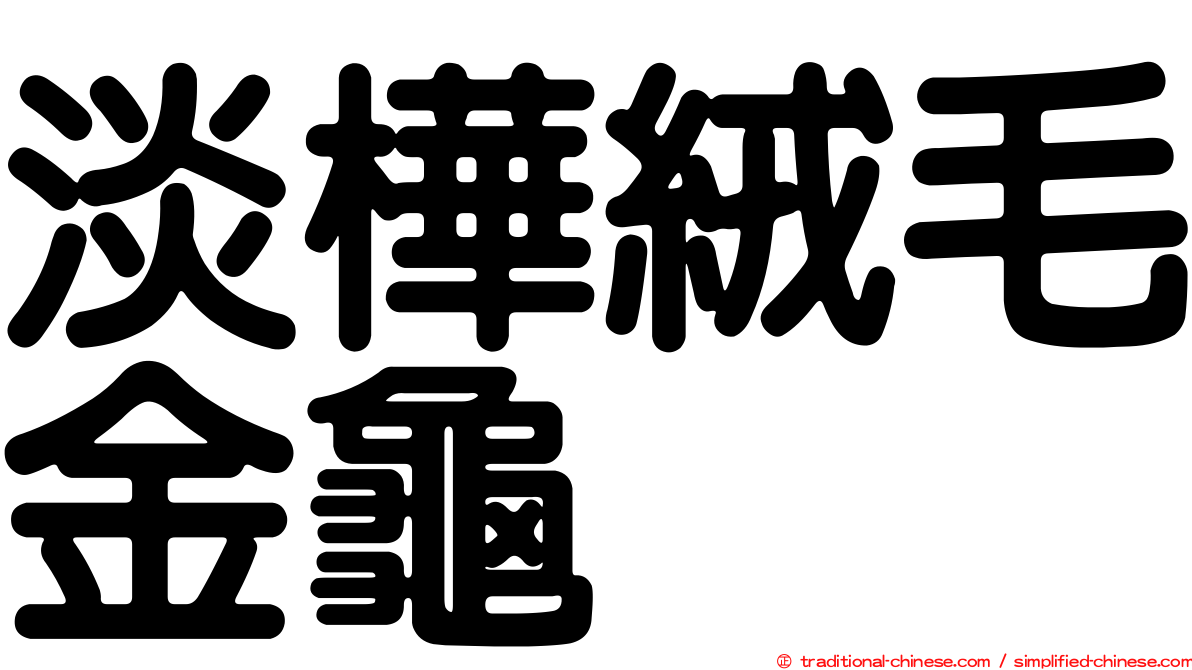 淡樺絨毛金龜