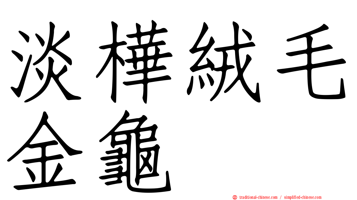 淡樺絨毛金龜