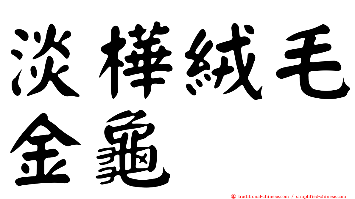 淡樺絨毛金龜