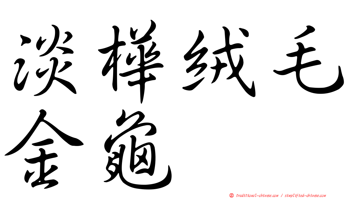 淡樺絨毛金龜