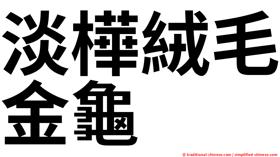 淡樺絨毛金龜