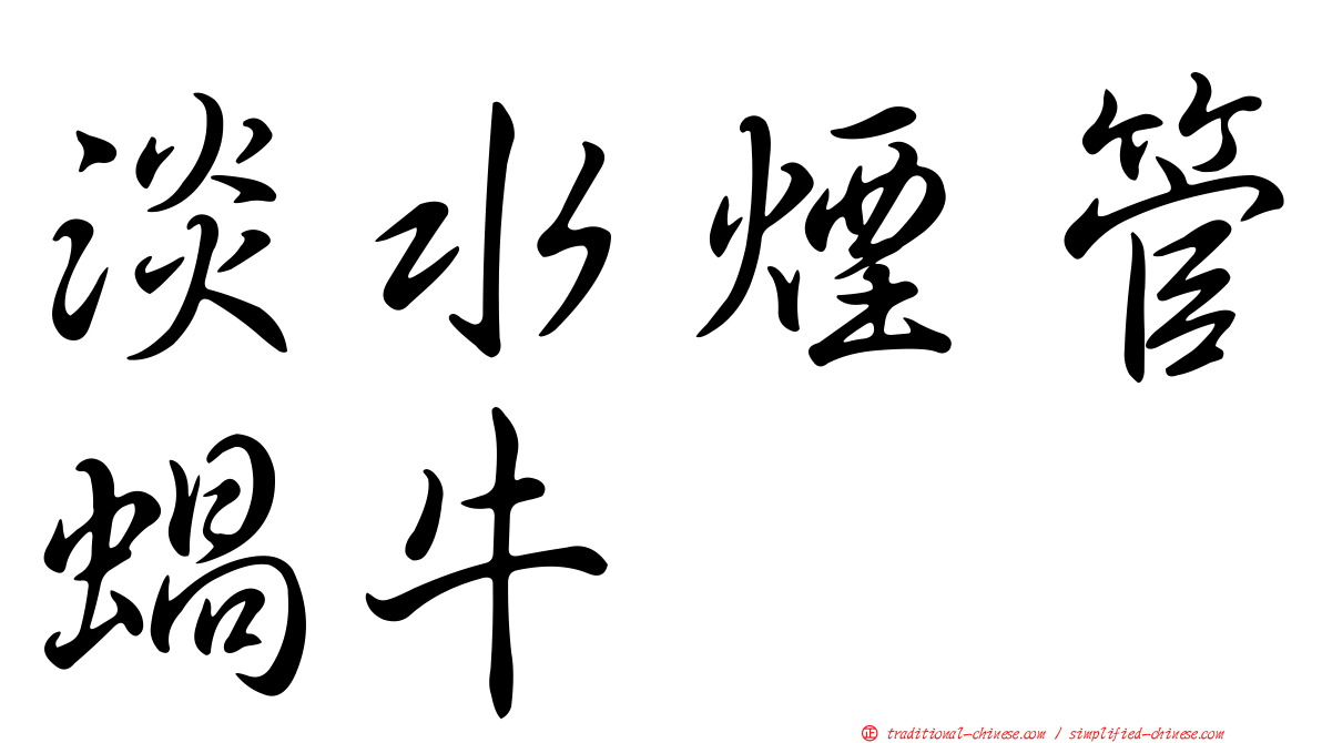 淡水煙管蝸牛
