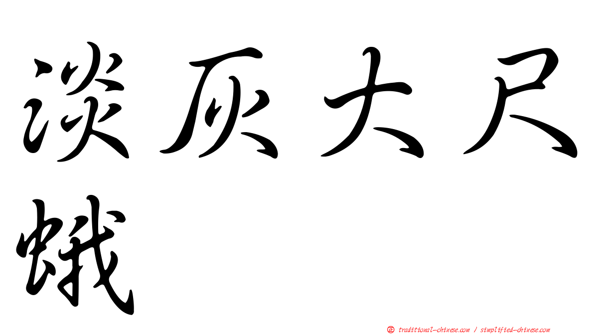淡灰大尺蛾