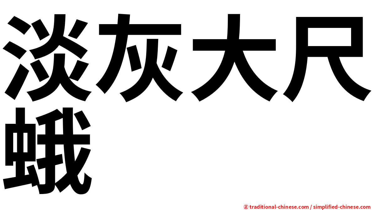 淡灰大尺蛾