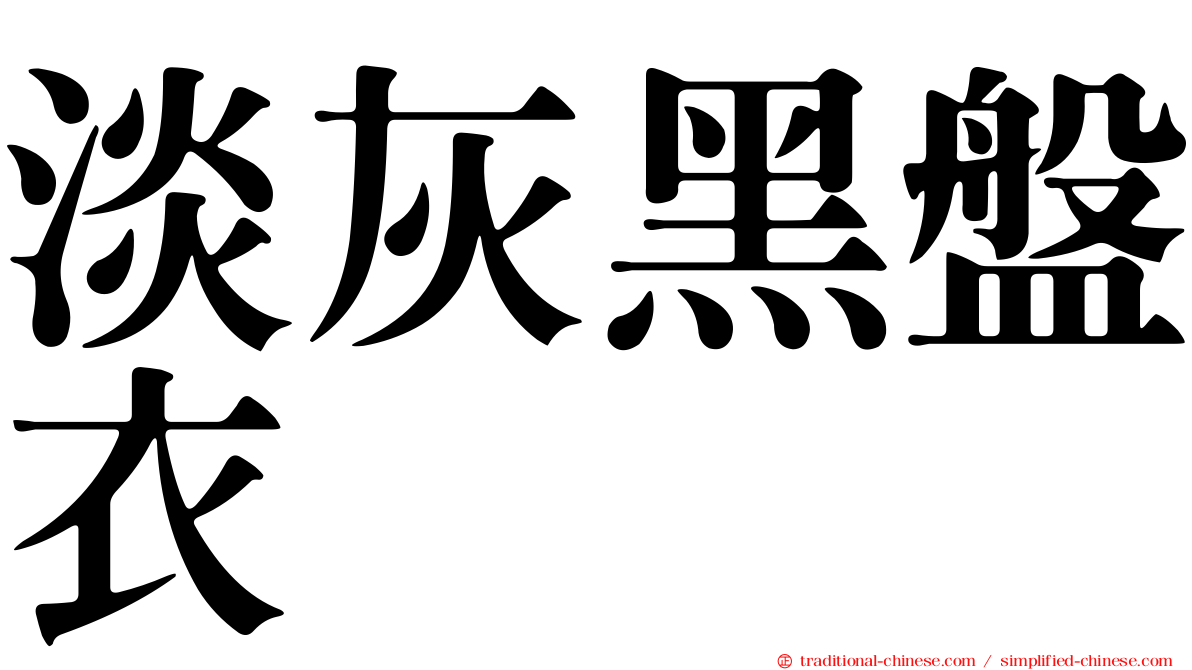 淡灰黑盤衣