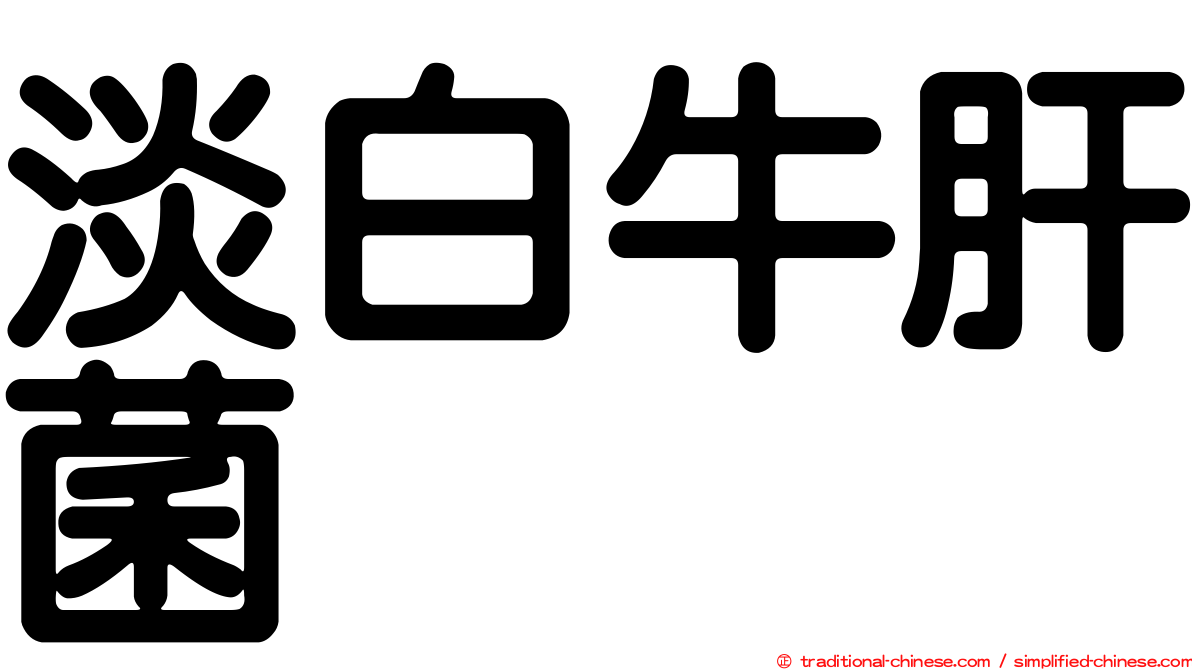 淡白牛肝菌
