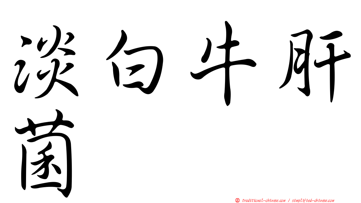 淡白牛肝菌
