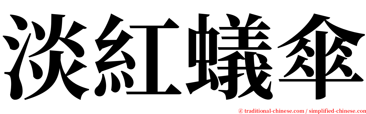 淡紅蟻傘 serif font