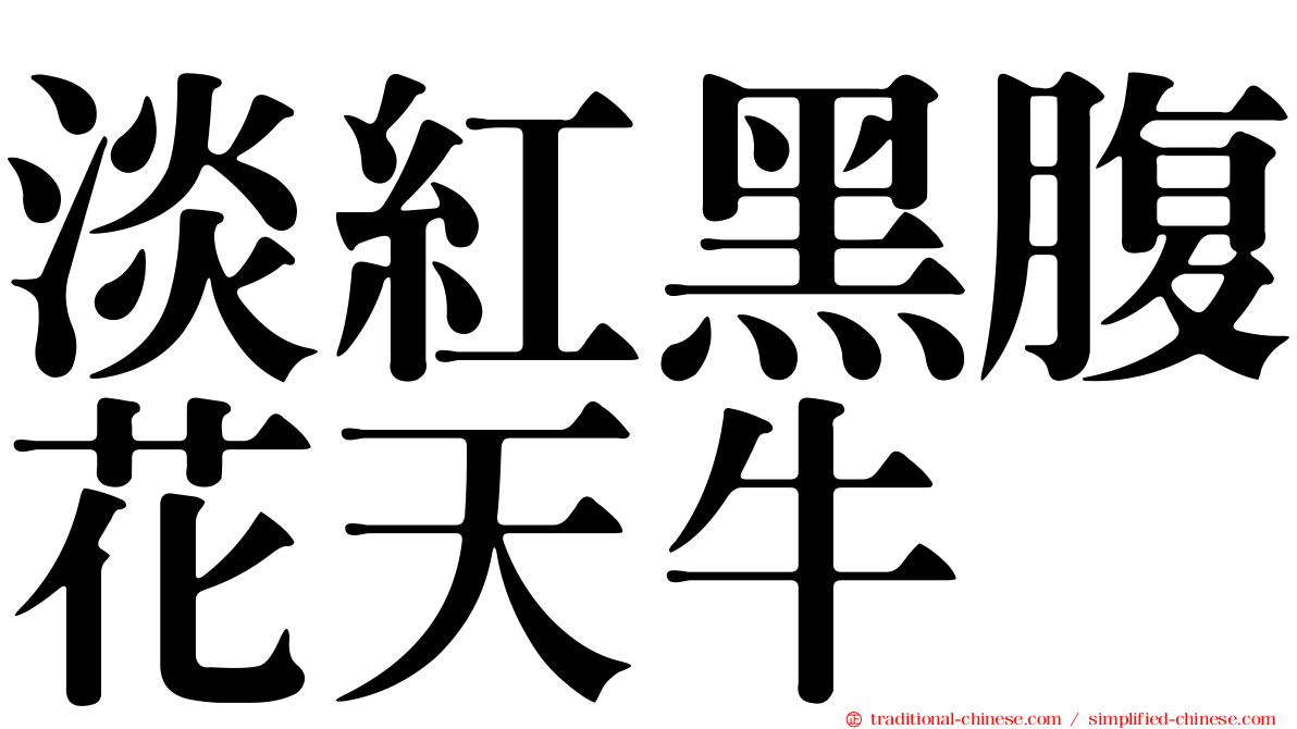淡紅黑腹花天牛