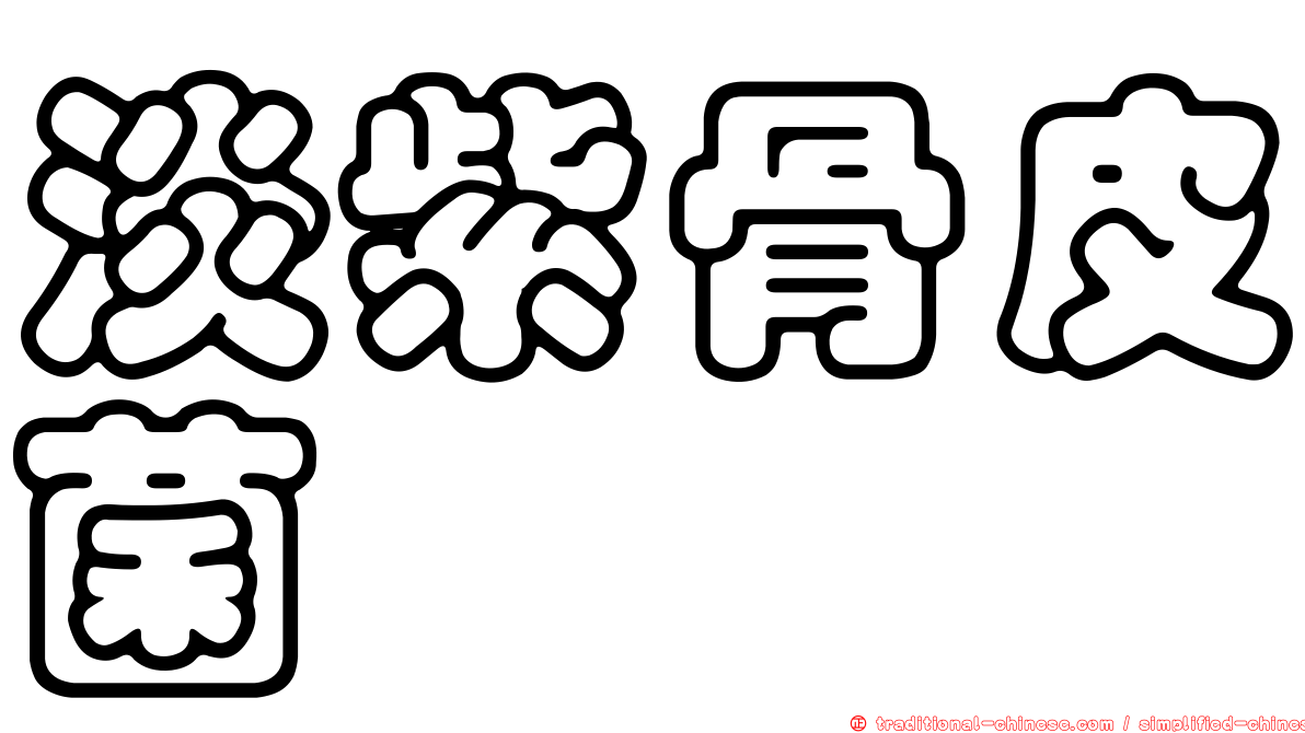 淡紫骨皮菌