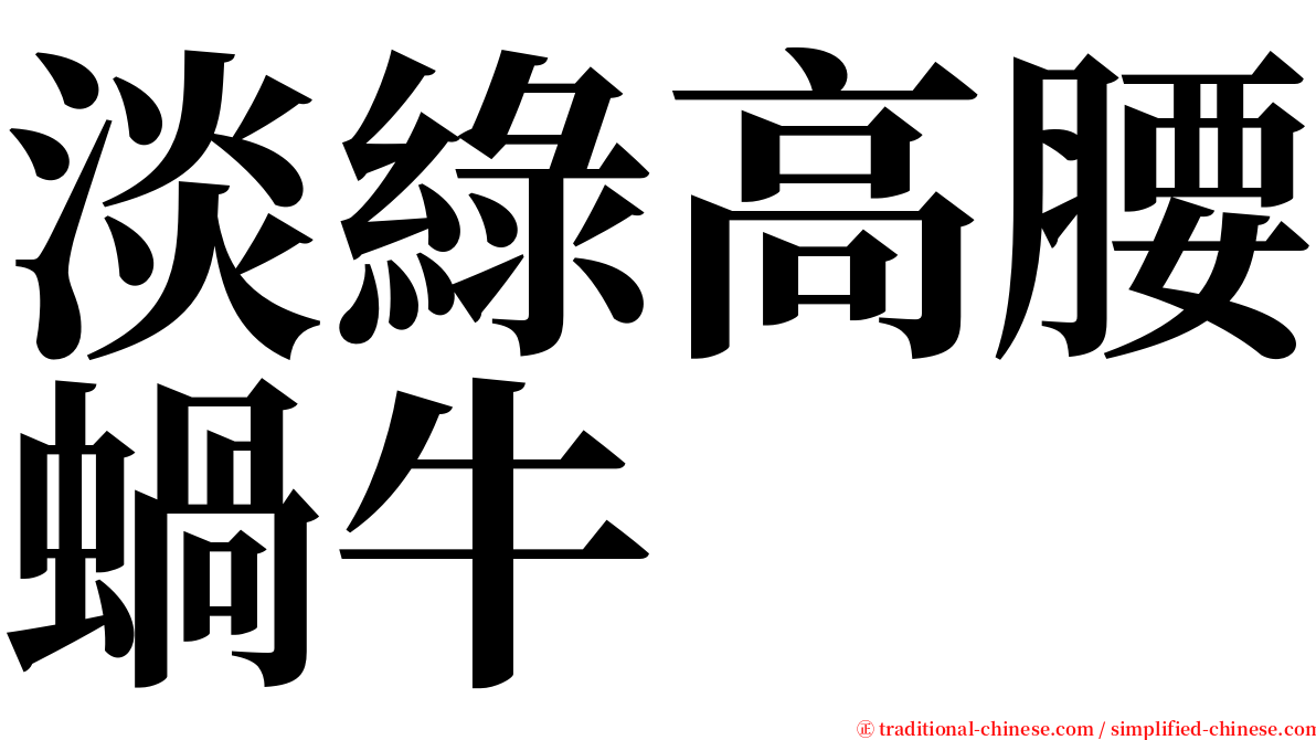 淡綠高腰蝸牛 serif font