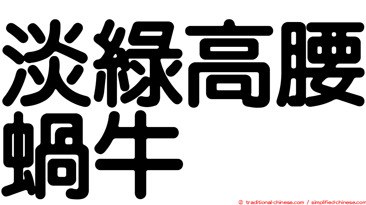 淡綠高腰蝸牛