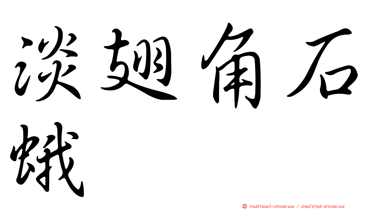 淡翅角石蛾
