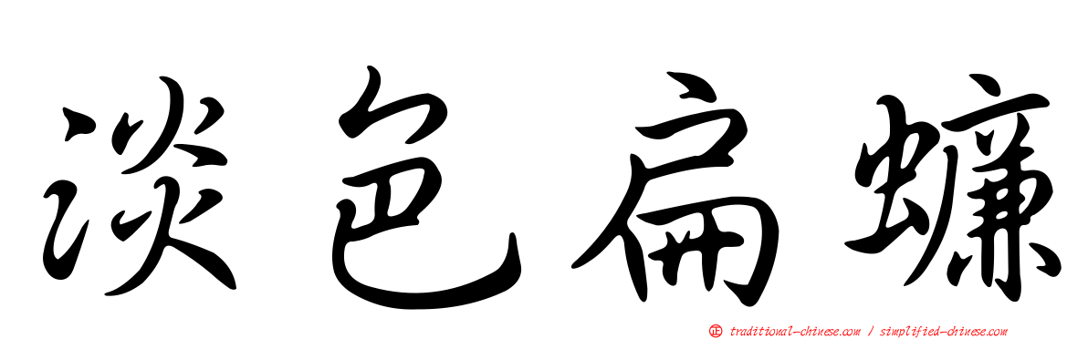 淡色扁蠊