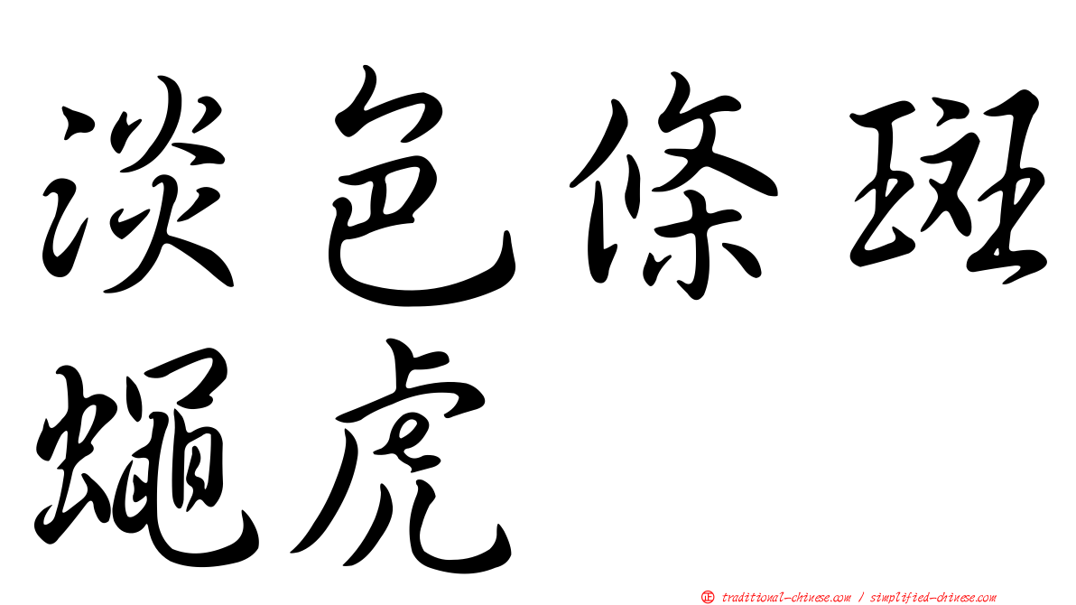 淡色條斑蠅虎