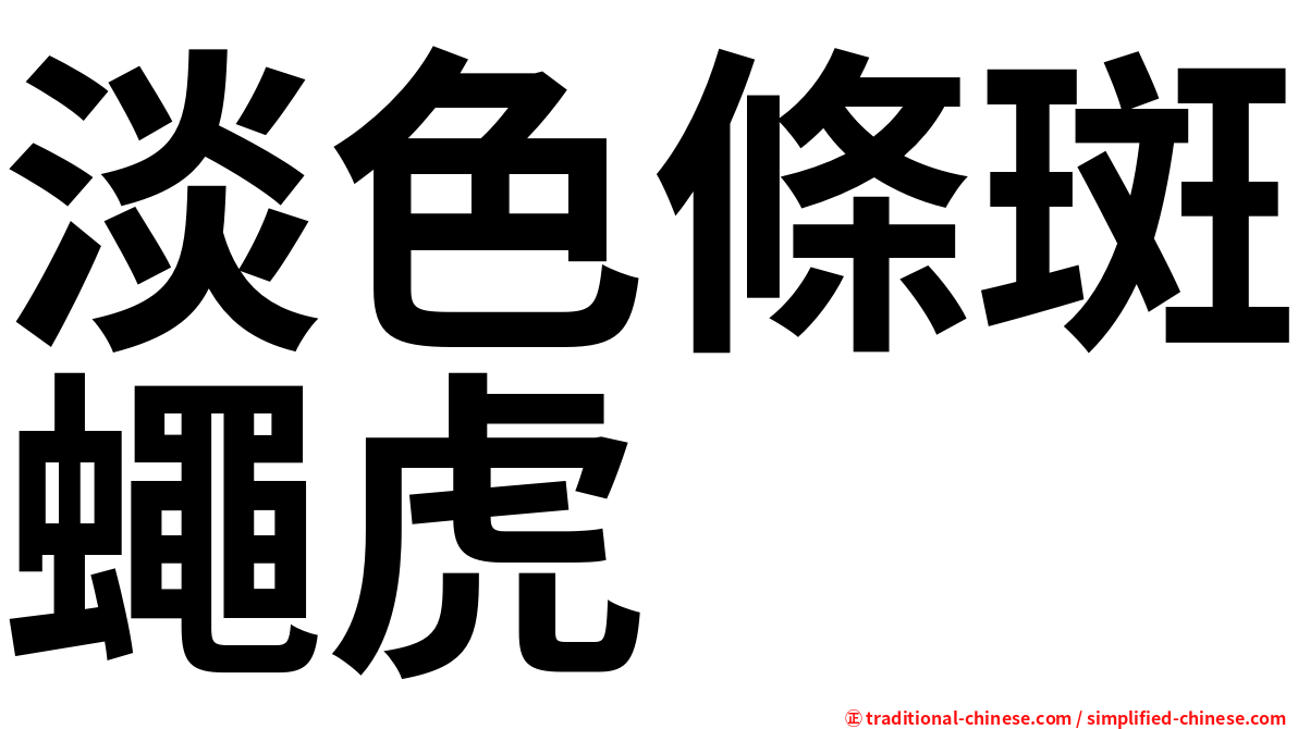 淡色條斑蠅虎