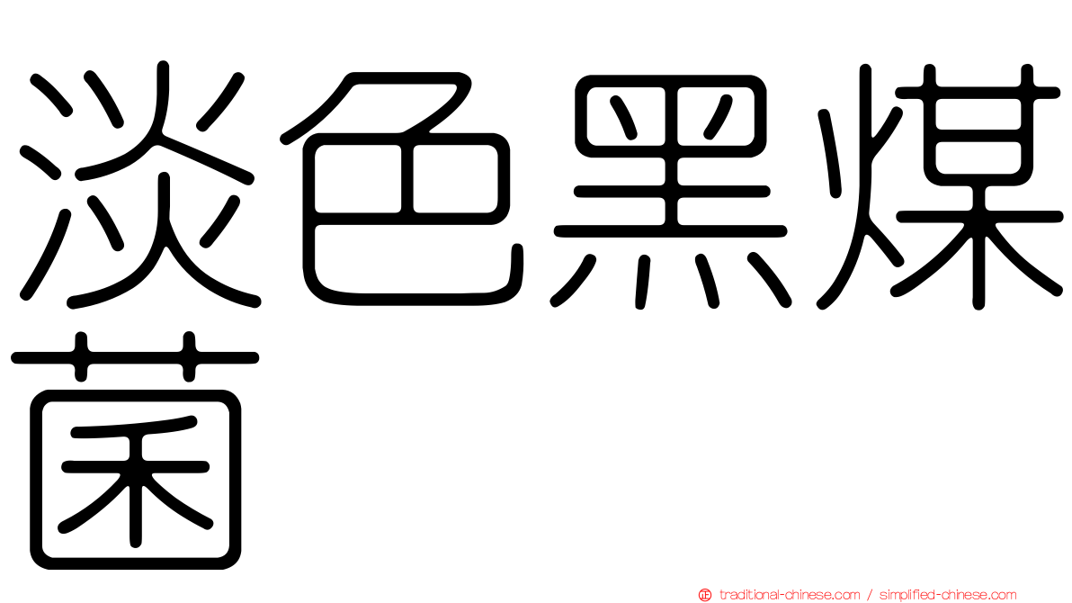 淡色黑煤菌