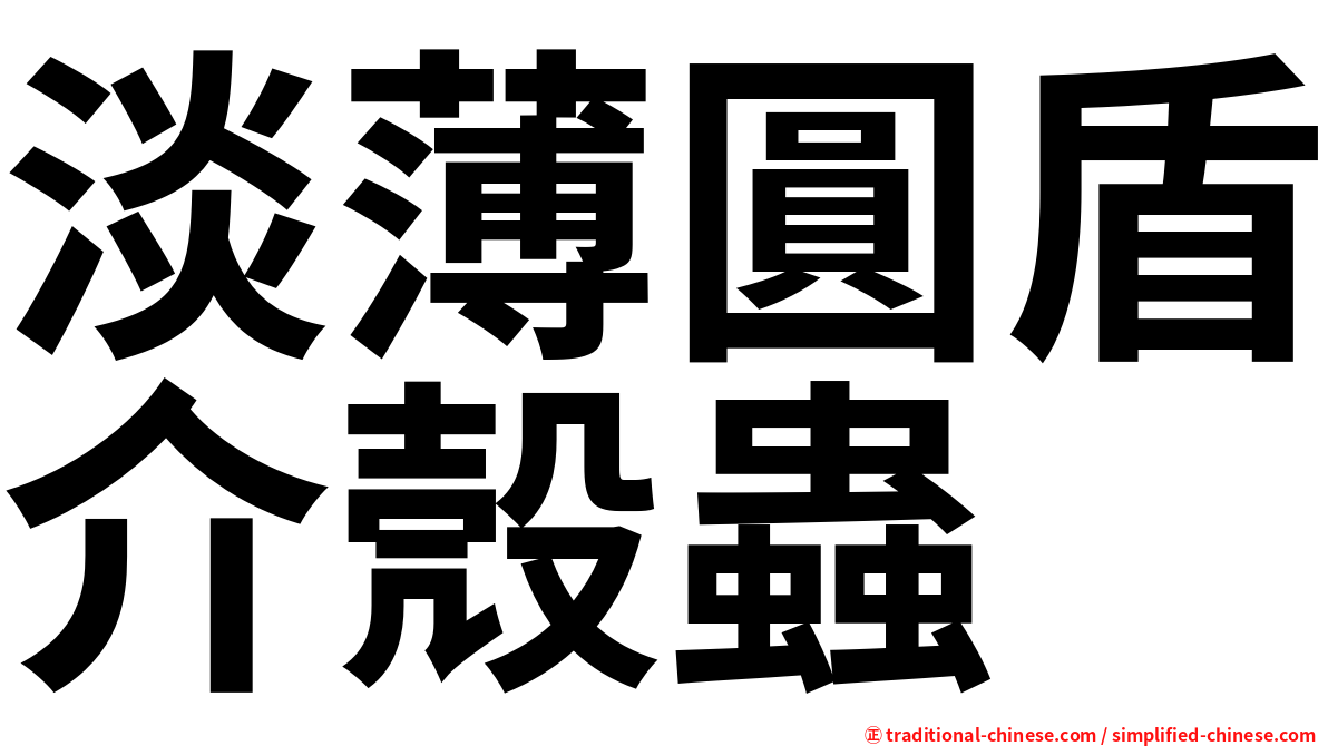 淡薄圓盾介殼蟲