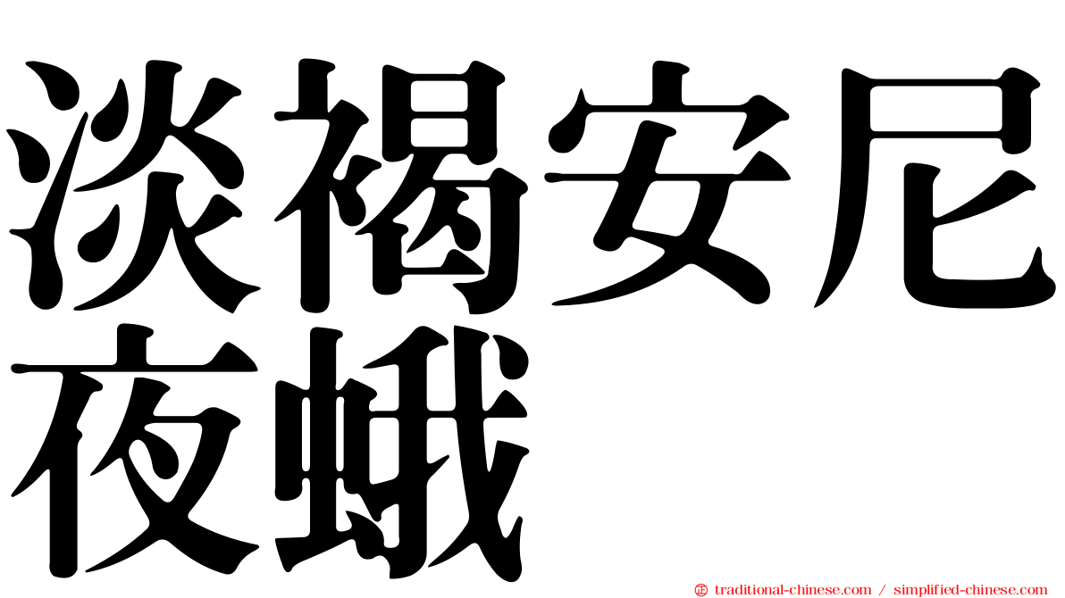 淡褐安尼夜蛾