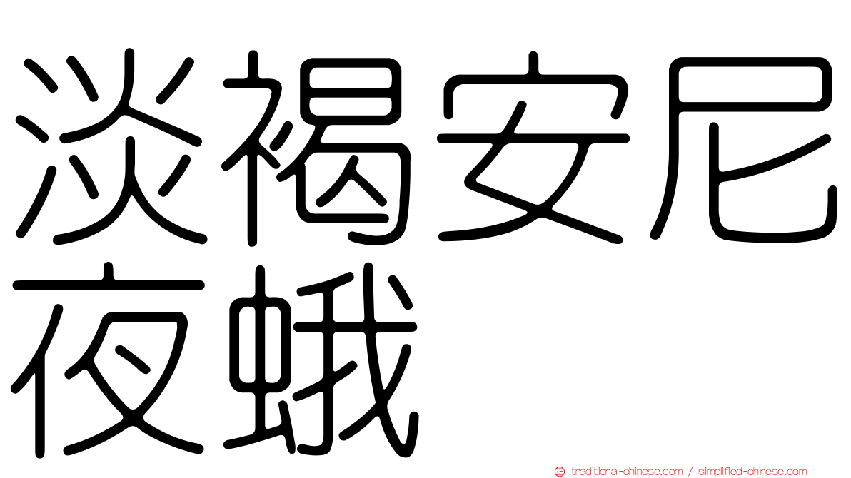 淡褐安尼夜蛾