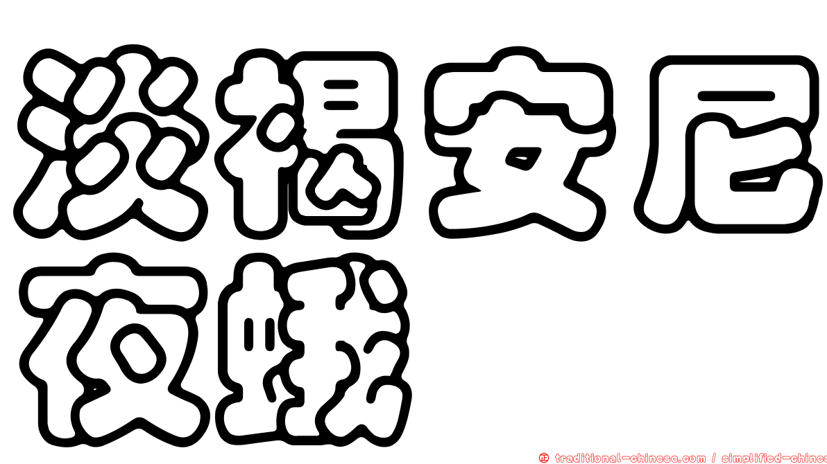 淡褐安尼夜蛾
