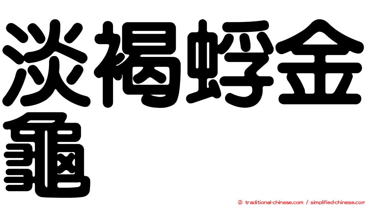 淡褐蜉金龜
