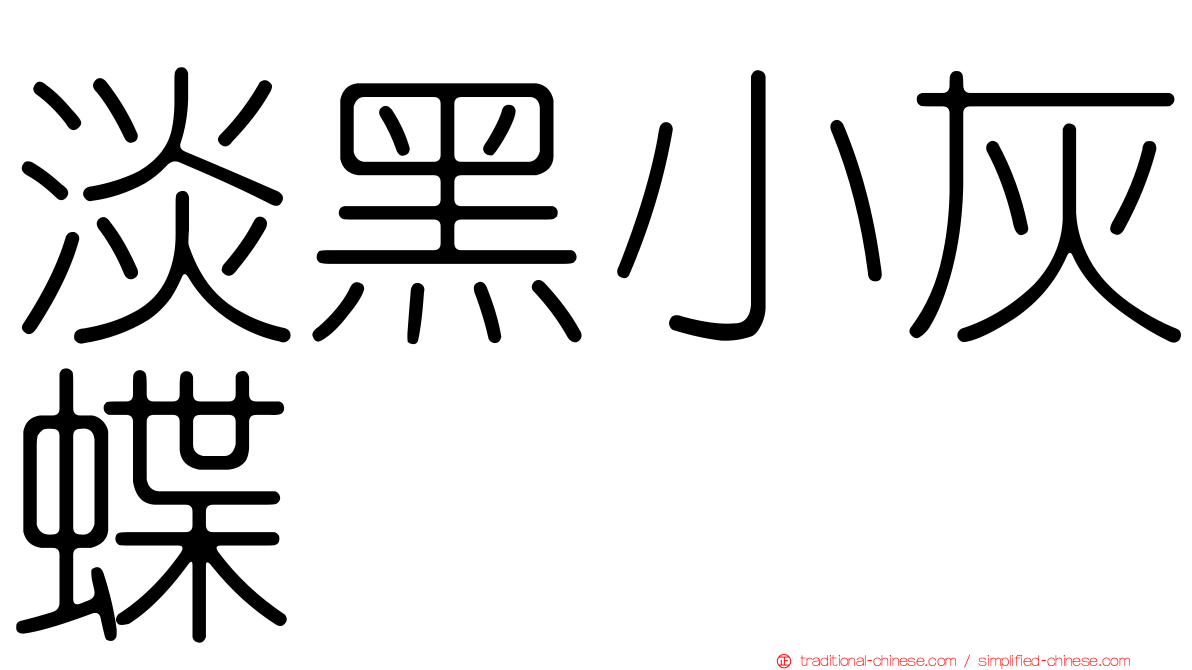 淡黑小灰蝶